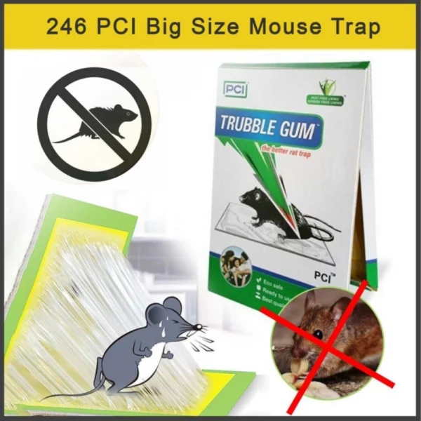 Generic Pack Of 2_Big Size Mouse Trap (Color: Assorted)