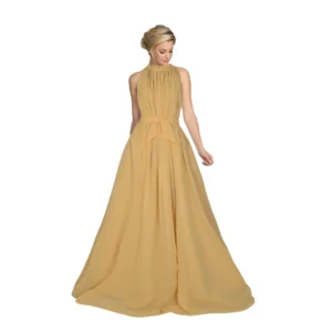 Women's Georgette Western Wear Flare Long Gown (Chiku)