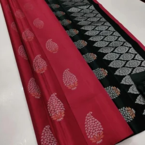 Women's Borderless Kanjivaram Silk Sarees With Unstitched Blouse (Red)
