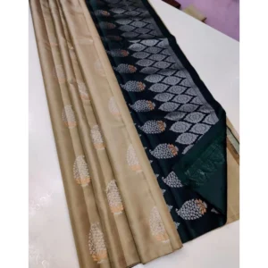 Women's Borderless Kanjivaram Silk Sarees With Unstitched Blouse (Beige)