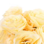 Silk Polyester Artificial Rose Flowers Bunch Bouquet Of 12 Roses For Home Decoration (Color: Cream,Length: 17 Inches)