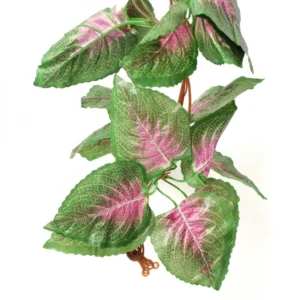 51180988964_ce2c405eae_o_d-1000×1000-1.webp