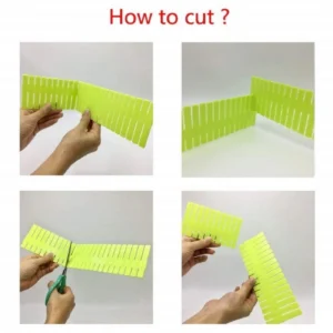 51778448083_db4547d3d8_o_d-1000×1000-1.webp