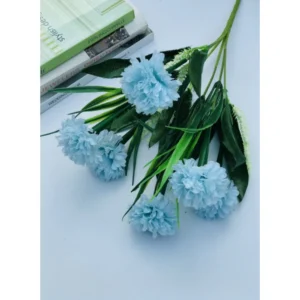 52115570837_ddb545b681_o_d-1000×1000-1.webp