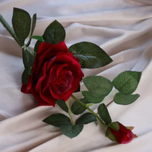 52116744591_db72394626_o_d-1000×1000-1.webp