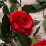 Artificial Rose Vine Flowers With Green Leaves For Home Party Garden Wall Decoration (Rani Pink, Material:Silk, Polyester)