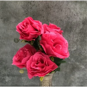 52117248015_0dcbeac8cf_o_d-1000×1000-1.webp