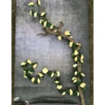 Artificial Flower Creeper Hanging Rose Garland For Home Decoration (Color: Cream, Material: Silk Polyester)