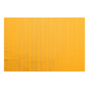 53262159091_1589327859_o_d-1000×1000-1.webp