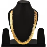 Women's Long Coin Chain And Earing Set