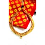 Women's Short Necklace And Earing Set