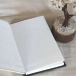 The Writer's Kit - World Map